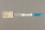 125492 Bia sp labels IN