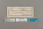 125503 Amauris echeria labels IN