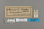 125513 Amauris ochlea labels IN