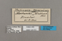 125572 Melinaea marsaeus mothone labels IN