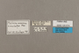 125574 Melinaea isocomma simulator labels IN