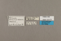 125575 Melinaea menophilus cocana labels IN