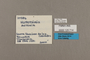 125714 Hypothyris lycaste antonia labels IN