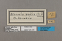 125720 Brevioleria aelia labels IN