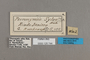 125744 Pteronymia sylvo labels IN