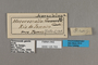 125763 Scada karschina karschina labels IN